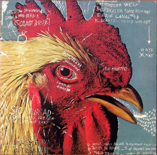 Pavement – Watery, Domestic (12")