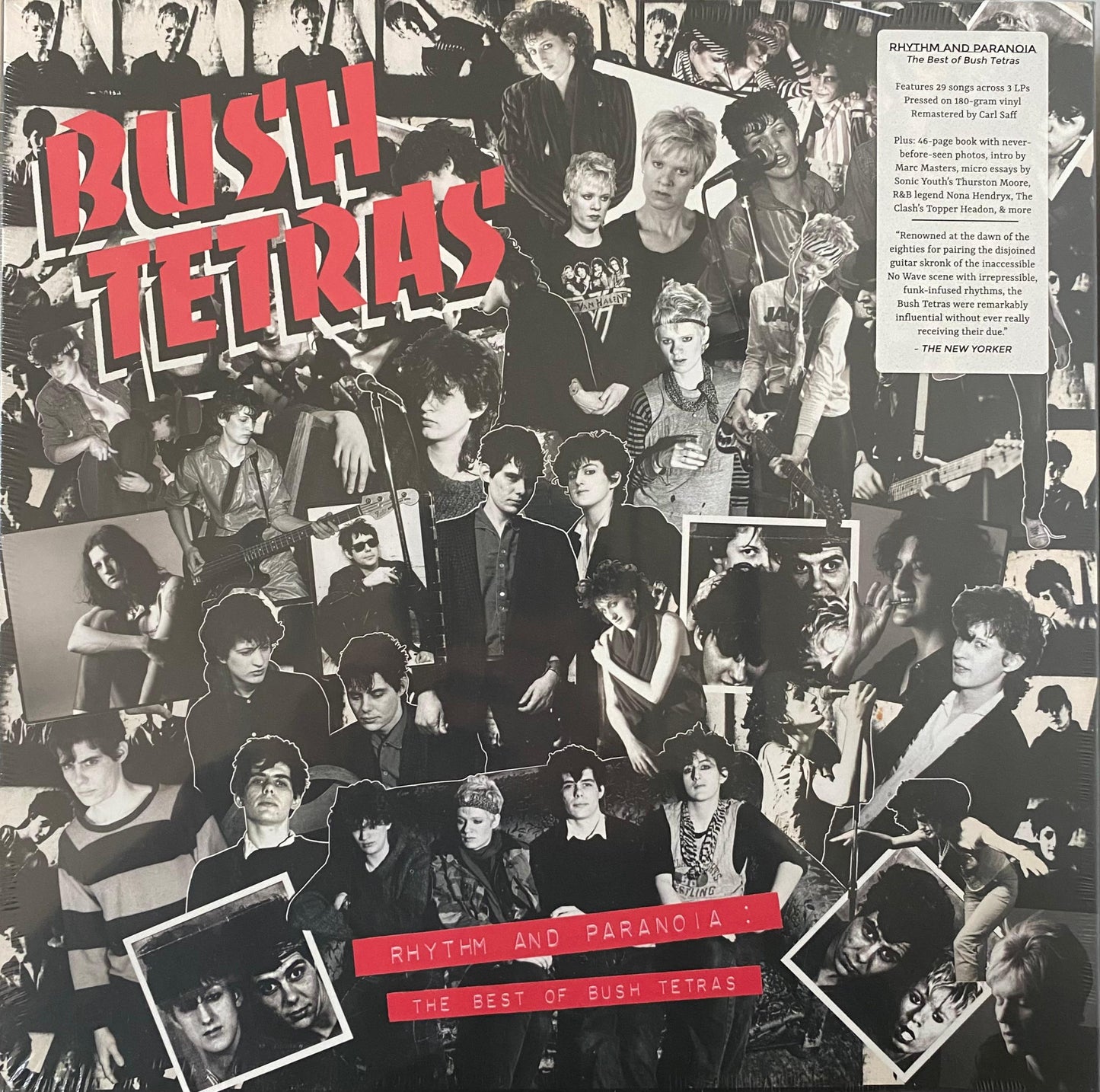 Bush Tetras – Rhythm and Paranoia: The Best of Bush Tetras (LP, Box Set)