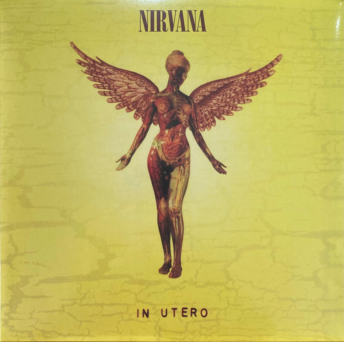 Nirvana – In Utero (LP)