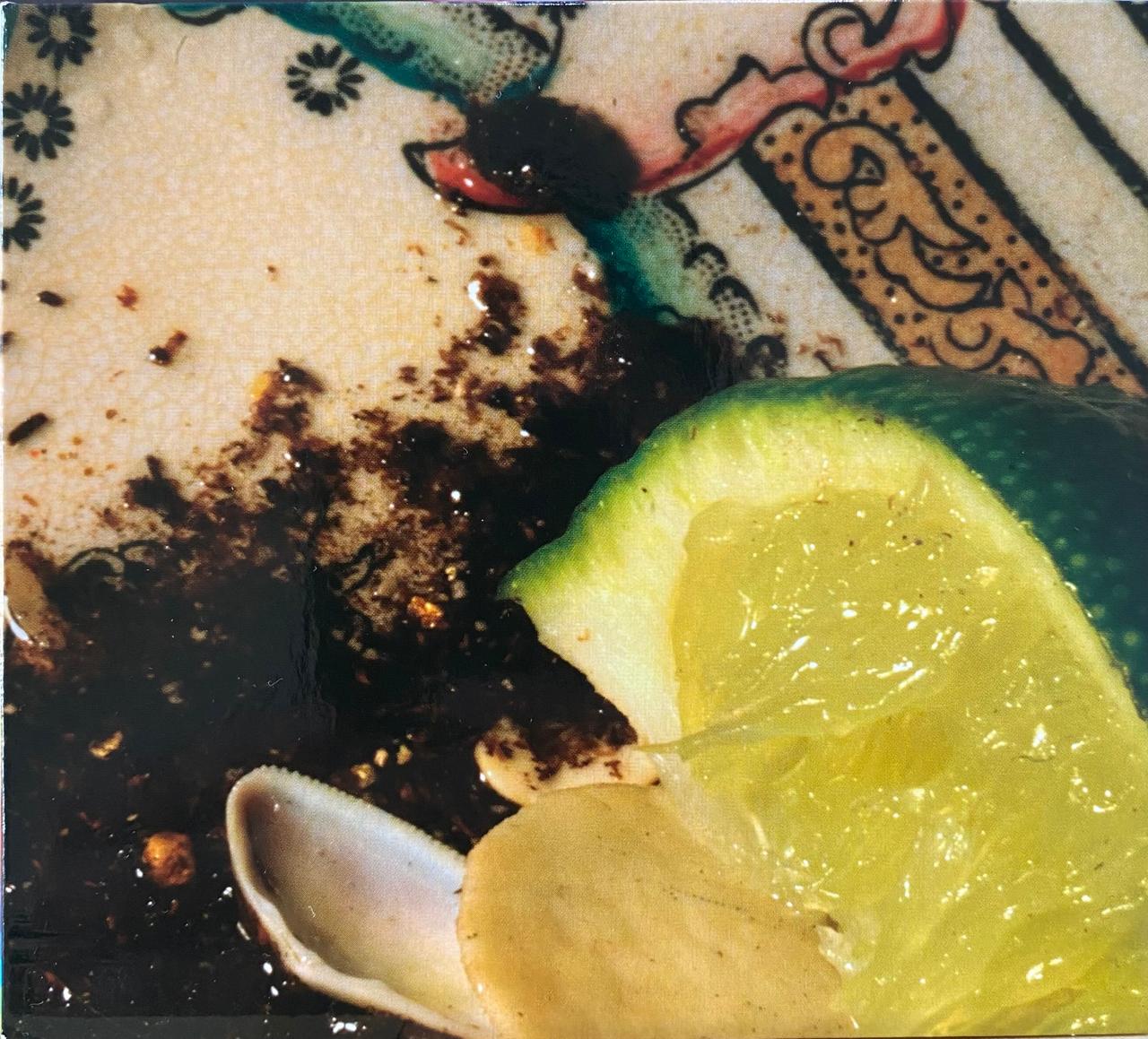 Donato Dozzy – Donato Dozzy Plays Bee Mask (CD, usado)