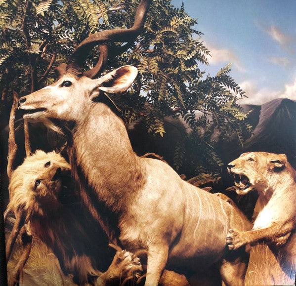 Interpol – Our Love To Admire (LP)