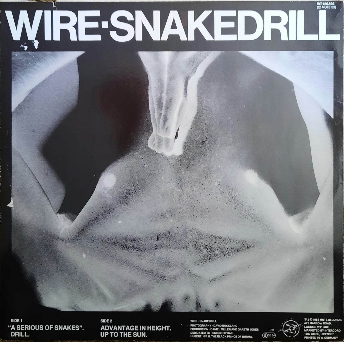 Wire - Snakedrill (Maxi-single, Alemania, 1986)