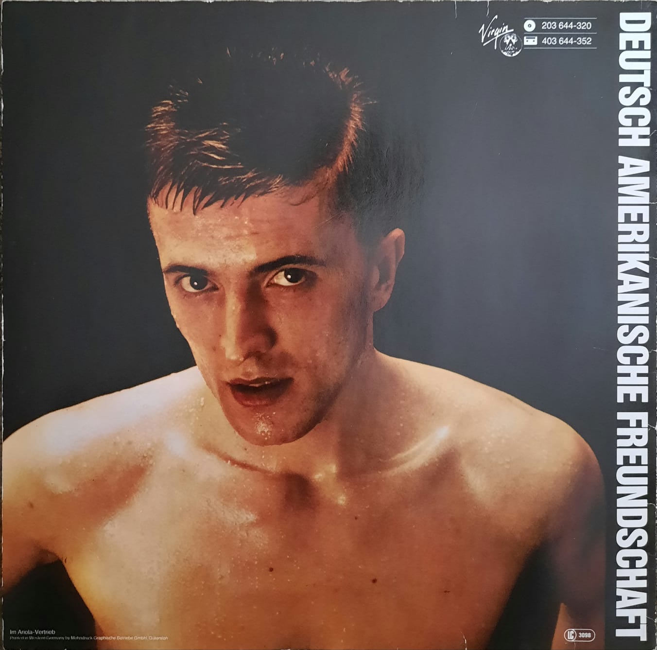 DAF - Alles Ist Gut (LP, Alemania, 1981)