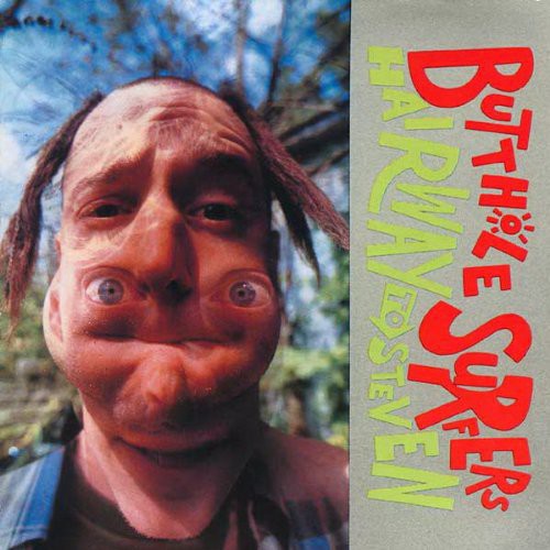 Butthole Surfers - Hairway To Steven (LP)
