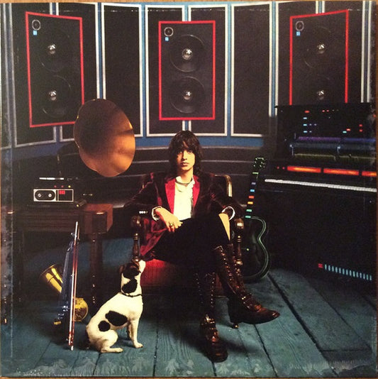Julian Casablancas – Phrazes For The Young (LP)