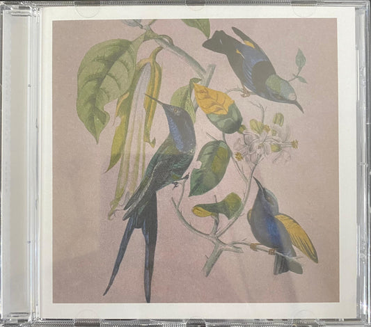 Susumu Yokota – Sakura (CD, usado)