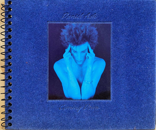 Daniel Ash – Coming Down (CD, usado, felt cover)