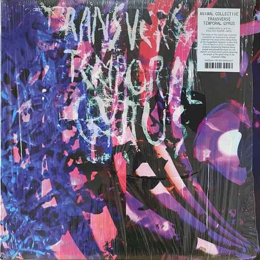 Animal Collective – Transverse Temporal Gyrus (12", 2012)