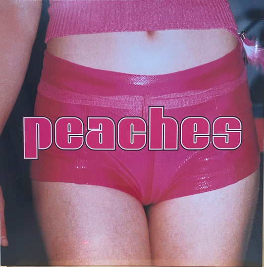 Peaches – The Teaches Of Peaches (LP)