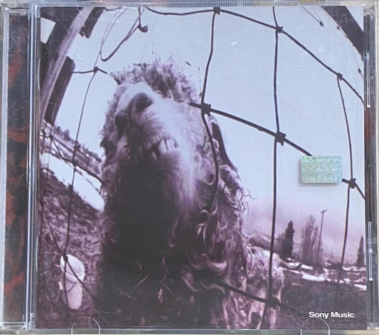 Pearl Jam – Vs (CD, usado)
