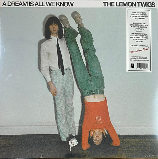 The Lemon Twigs – A Dream Is All We Know (vinilo, nuevo)