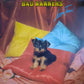 Bad Manners - Loonee Tunes! (LP, Países Bajos, 1980)