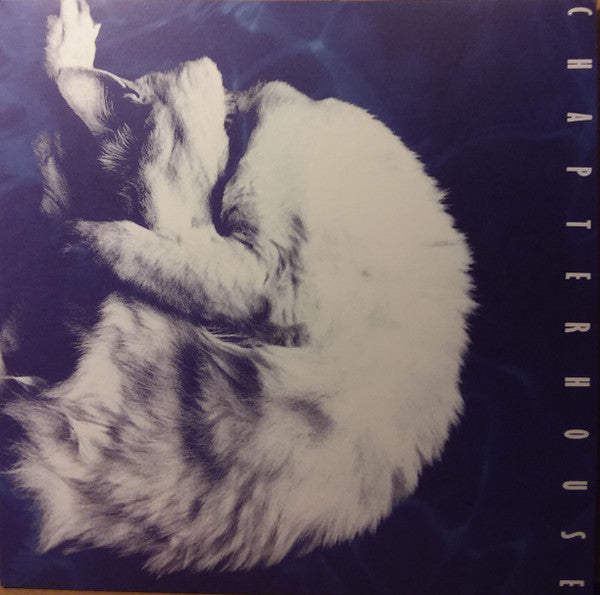 Chapterhouse - Whirlpool (LP)